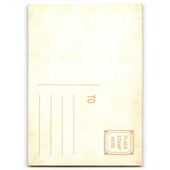 Vintage Halloween Photochrome Postcard Raven on Jack O'Lantern 5.5x4" - Picture 2 of 2